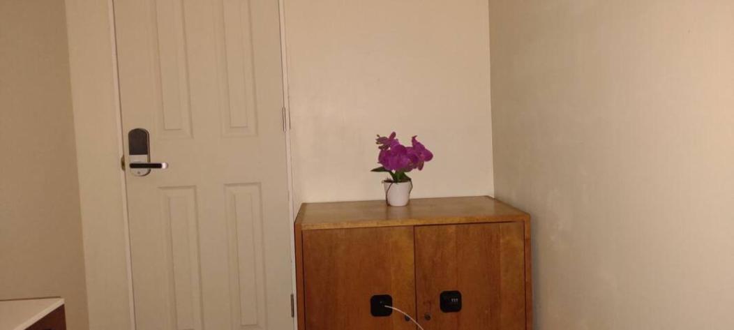 Friendly In Williamsburg Brooklyn Homestay